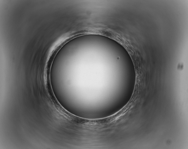 X0000099510294200805291155