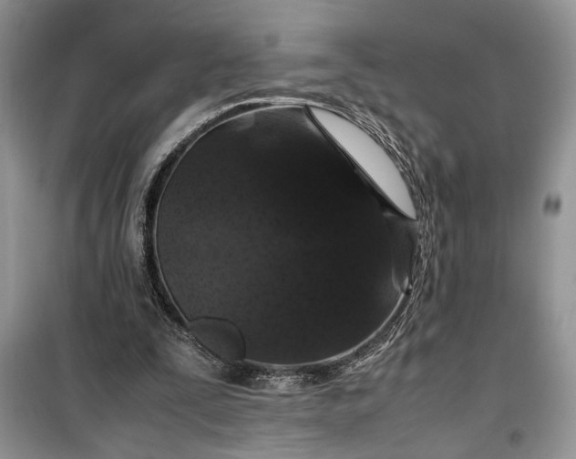 X0000099510295200805291155