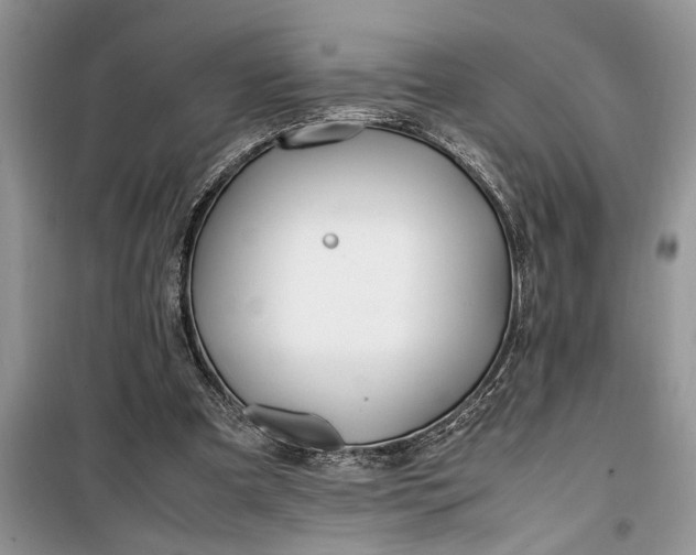 X0000099510297200805291155