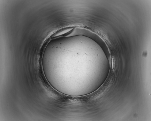 X0000099510300200805291155