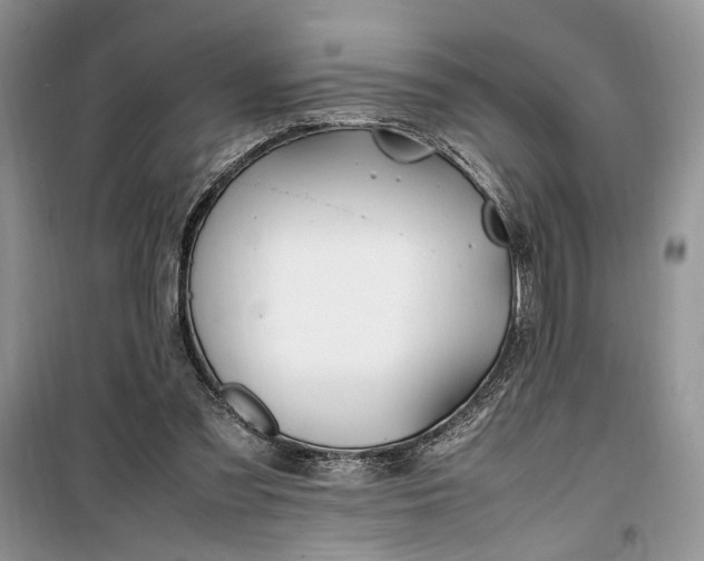 X0000099510301200805291155