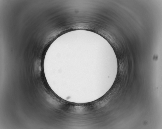 X0000099510302200805291155