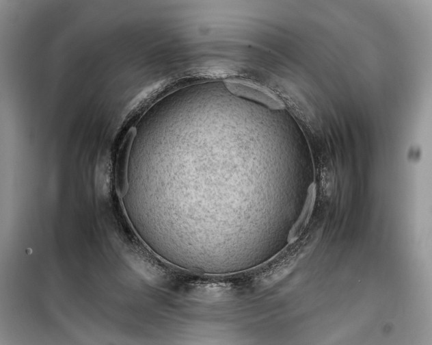 X0000099510304200805291155