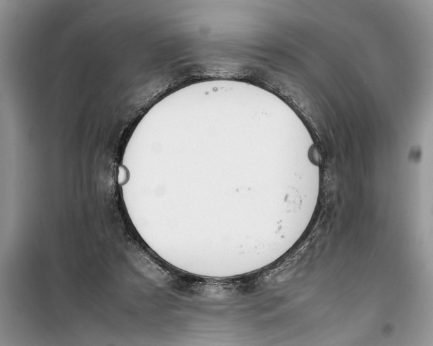 X0000099510305200805291155