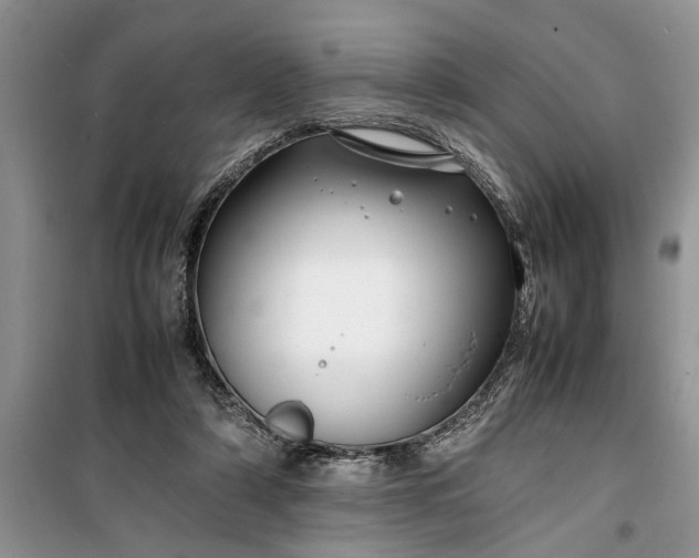 X0000099510306200805291155