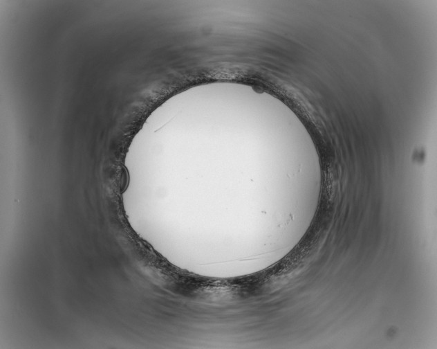 X0000099510307200805291155