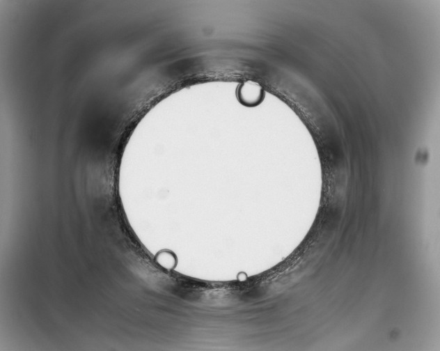 X0000099510309200805291155