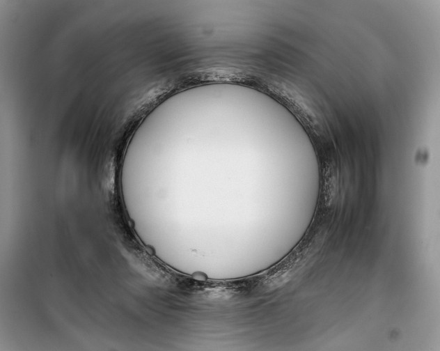 X0000099510310200805291155