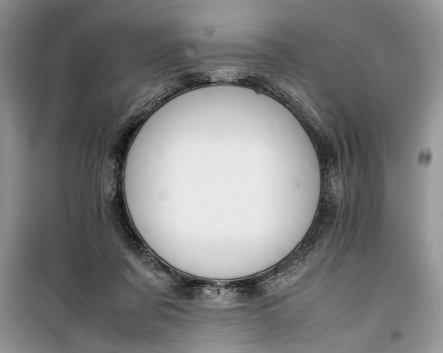 X0000099510311200805291155