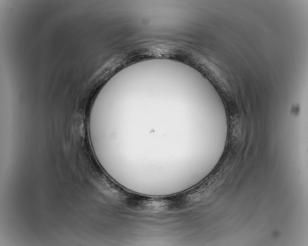 X0000099510313200805291155