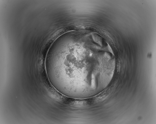 X0000099510314200805291155