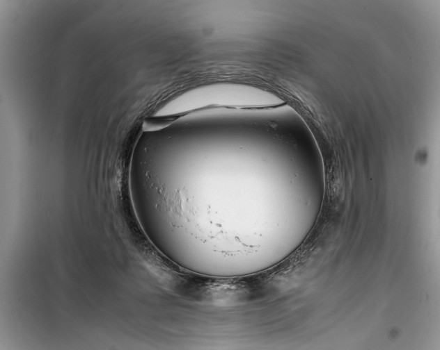 X0000099510315200805291155