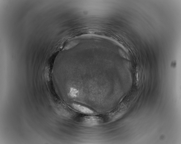 X0000099510316200805291155