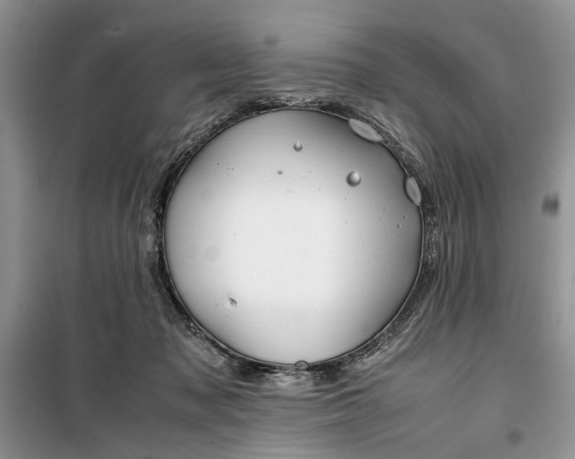 X0000099510317200805291155