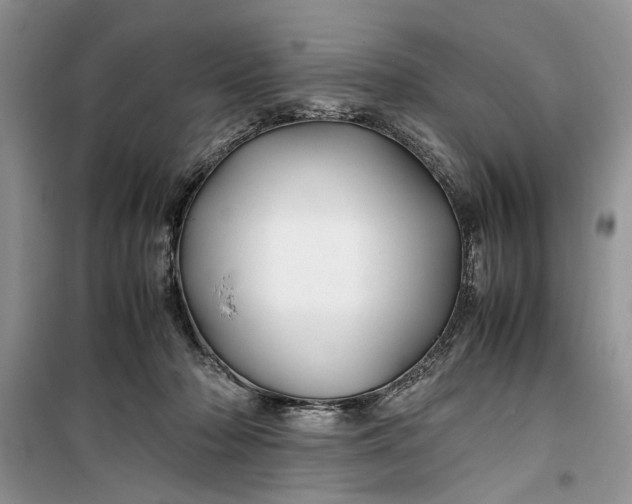 X0000099510318200805291155