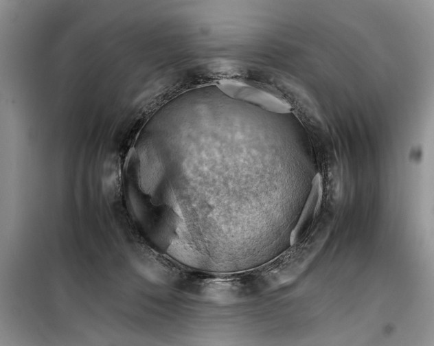 X0000099510320200805291155