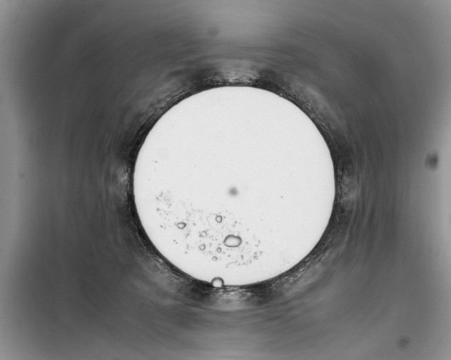 X0000099510321200805291155