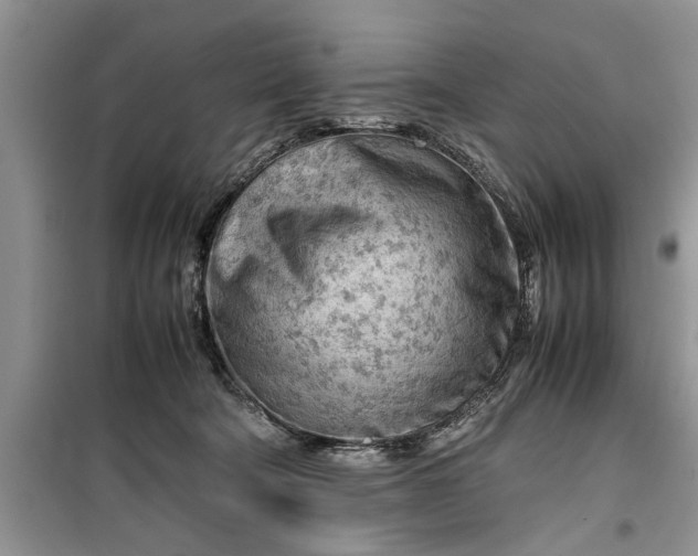 X0000099510322200805291155