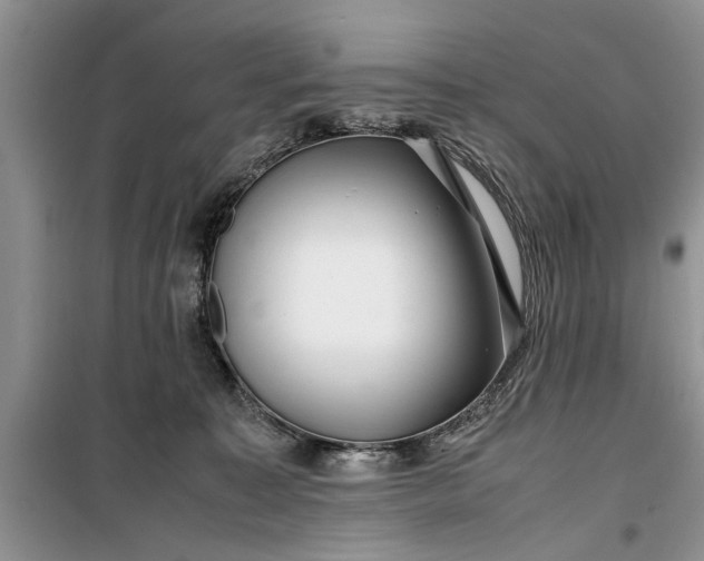 X0000099510323200805291155