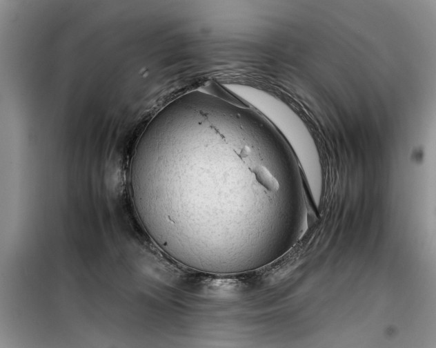 X0000099510324200805291155