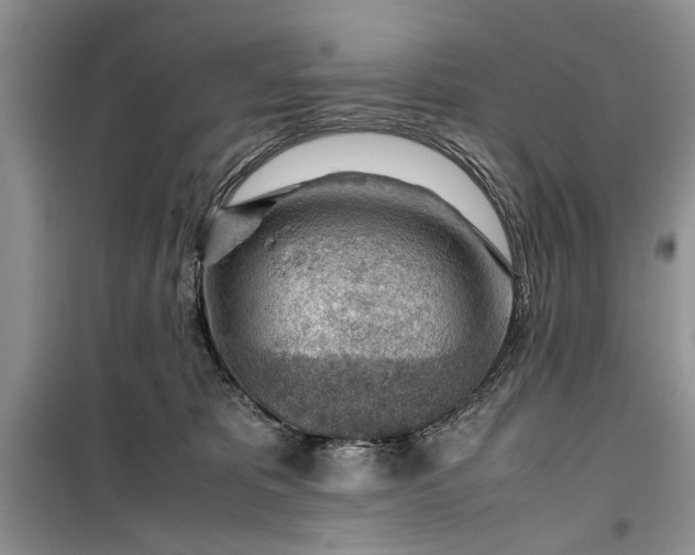 X0000099510325200805291155