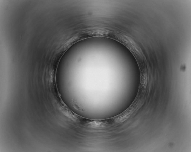 X0000099510326200805291155