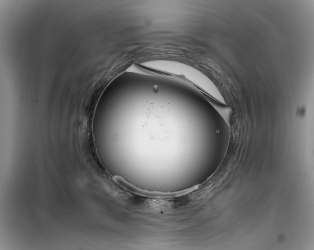 X0000099510327200805291155