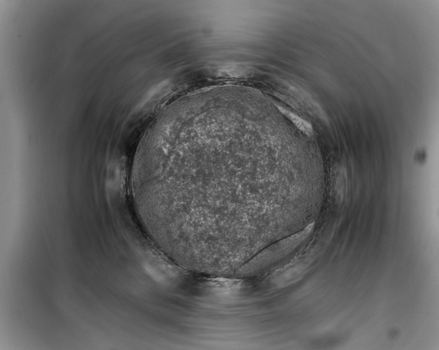 X0000099510328200805291155