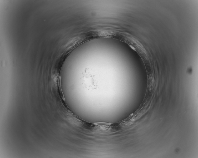 X0000099510329200805291155