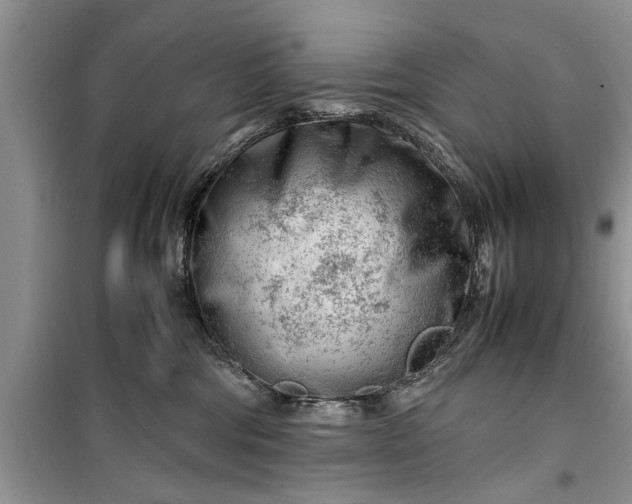 X0000099510330200805291155