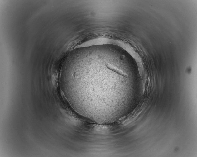 X0000099510332200805291155