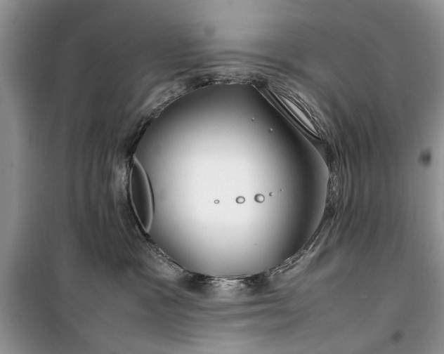 X0000099510333200805291155