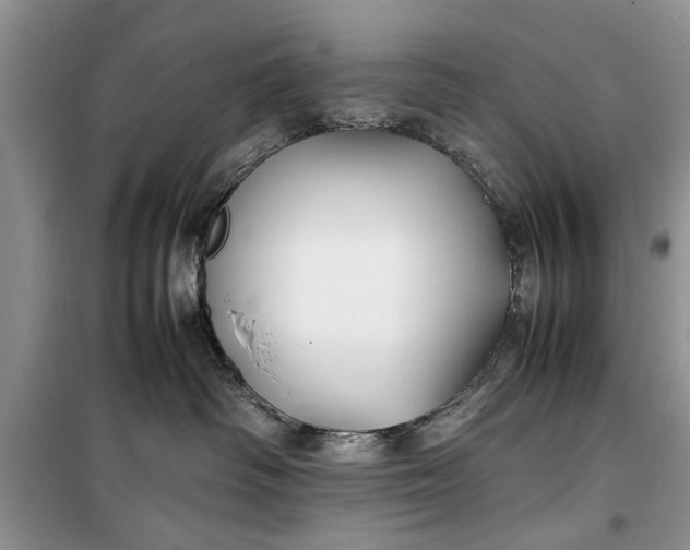 X0000099510334200805291155