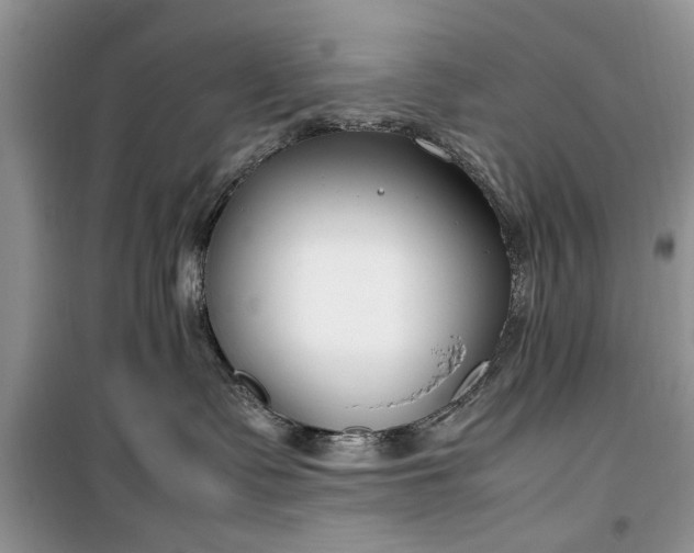 X0000099510335200805291155