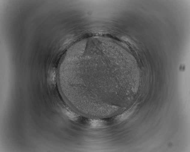 X0000099510336200805291155