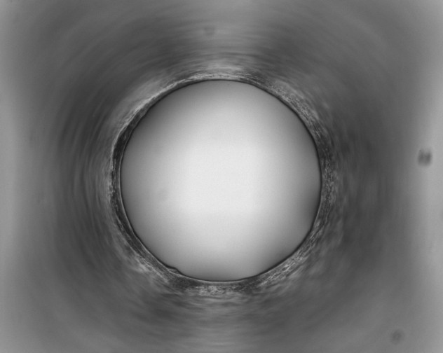 X0000099510338200805291154