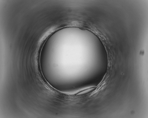 X0000099510341200805291154