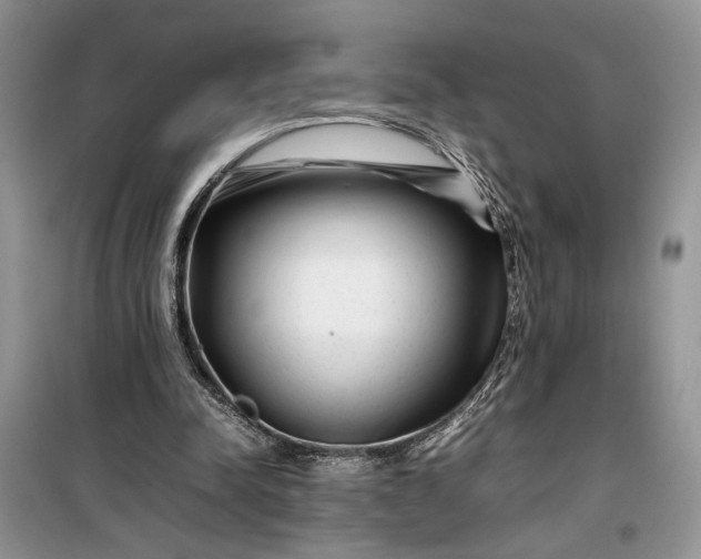 X0000099510342200805291154