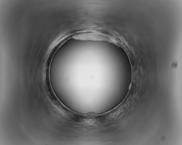 X0000099510344200805291154