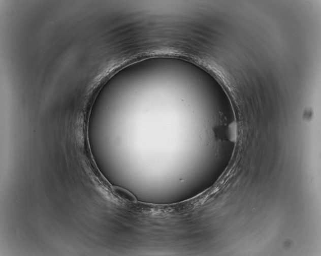 X0000099510345200805291154