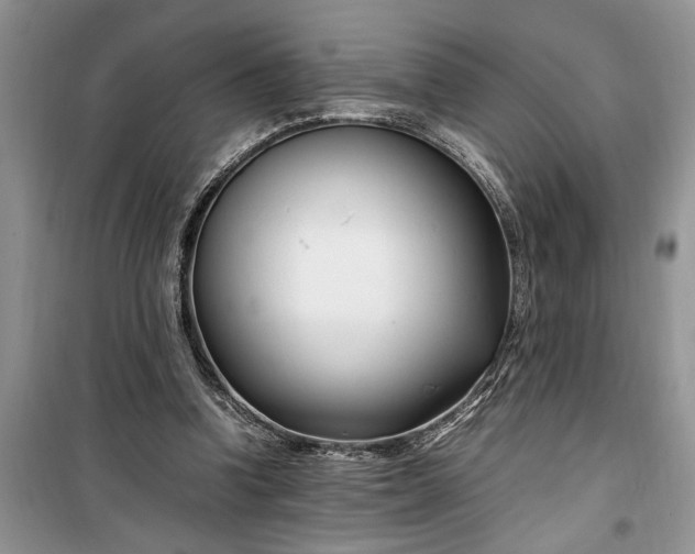 X0000099510346200805291154