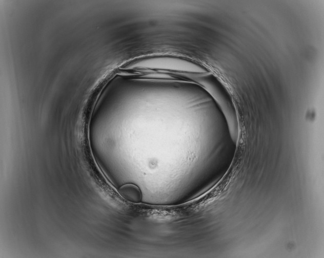 X0000099510347200805291154