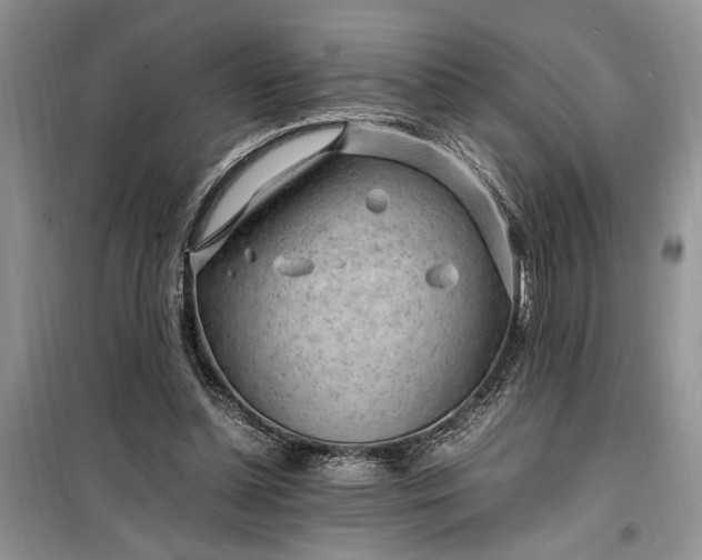 X0000099510348200805291154