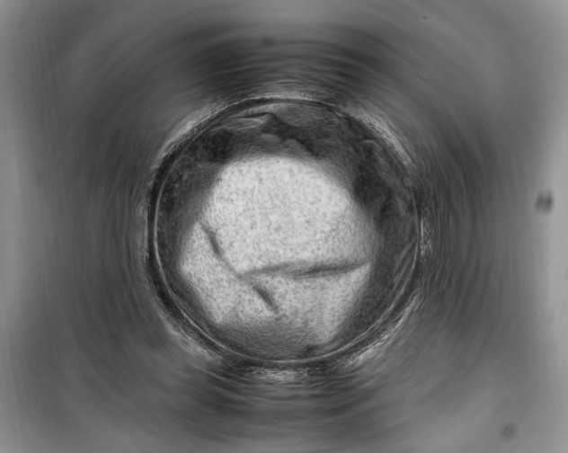 X0000099510349200805291154