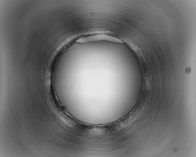 X0000099510350200805291154