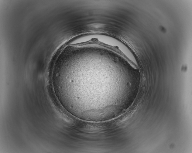 X0000099510351200805291154