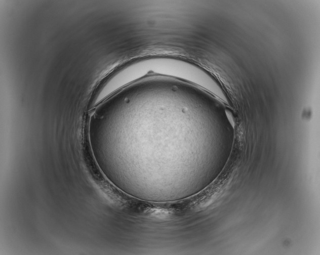 X0000099510352200805291154