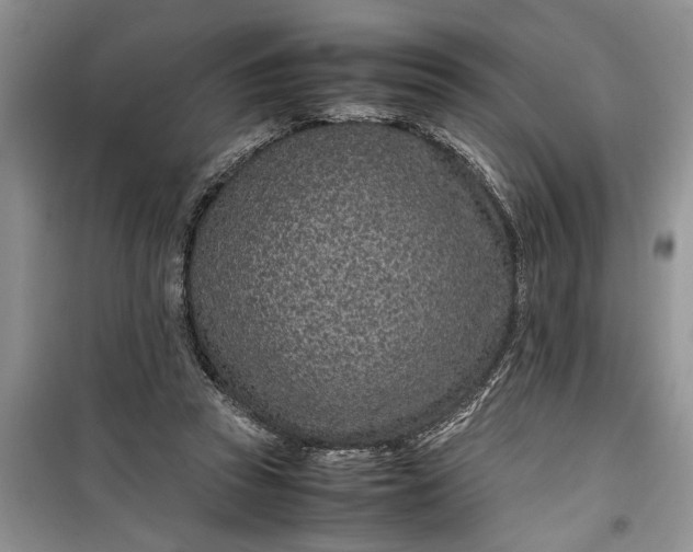 X0000099510353200805291154