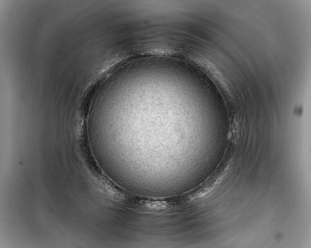 X0000099510355200805291154