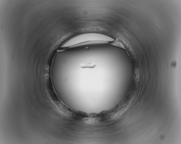 X0000099510356200805291154